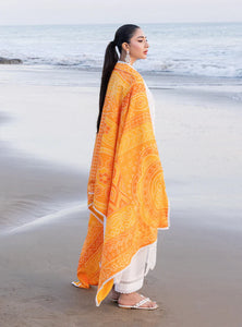 Zainab Chottani Chikankari Lawn Suits Unstitched 3 Piece ZC24 CHUNARI - 3B - Summer Collection