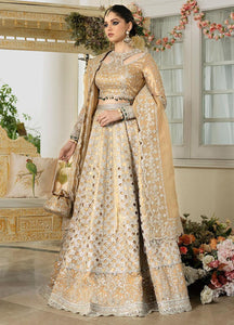 Qalamkar Dilnaaz Embroidered Organza Suits Unstitched 3 Piece DN-01 IMAAN- Wedding Collection