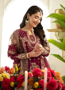Qalamkar Dilnaaz Embroidered Organza Suits Unstitched 3 Piece  DN-7 Aleena - Wedding Collection