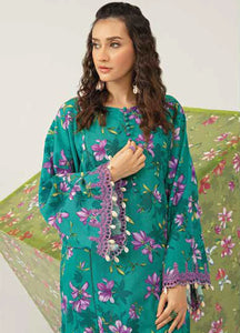 Maria B M Basics Embroidered Khaddar Suits Unstitched 2 Piece MB-US23-207-A- Winter Collection