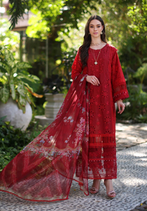 Noor By Saadia Asad Embroidered Lawn Suit Unstitched 3 Piece D-2B- Luxury Summer Collection