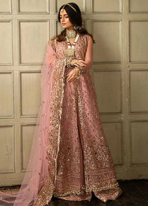 Sobia Nazir Nur Embroidered Net Suits Unstitched 4 Piece N23-03 - Festive Collection