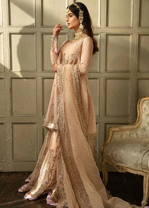 Sobia Nazir Nur  Embroidered Raw Silk Suits Unstitched 3 Piece N23-05 - Festive Wedding Collection