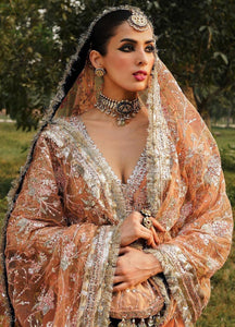 Hussain Rehar Zaib-un-Nisa  Embroidered Net Suits Unstitched 4 Piece  Chaman - Festive Wedding Collection