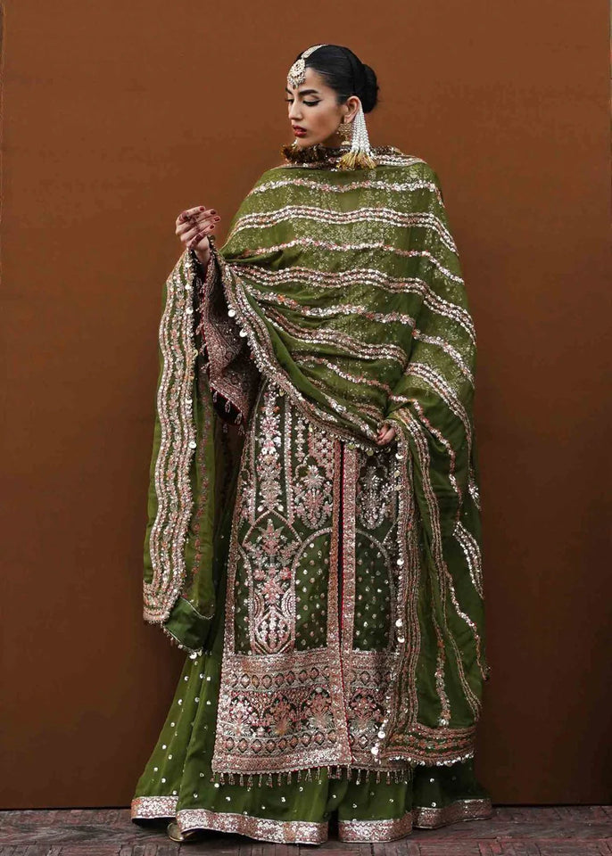 hussain rehar zaib -ul - nisa  Zaitoon