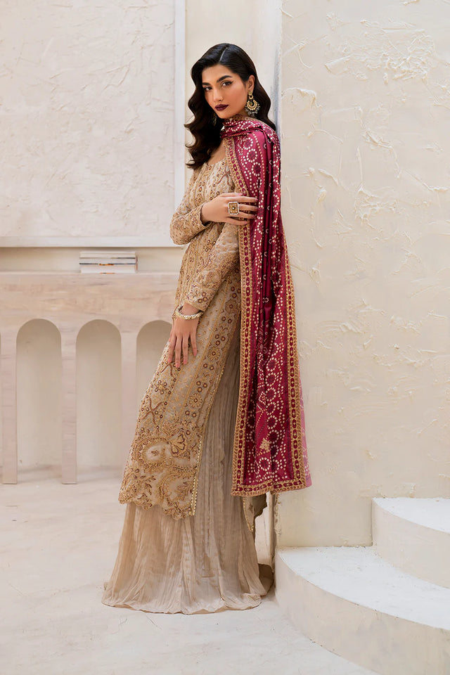 CC-44 Embroidered Chiffon