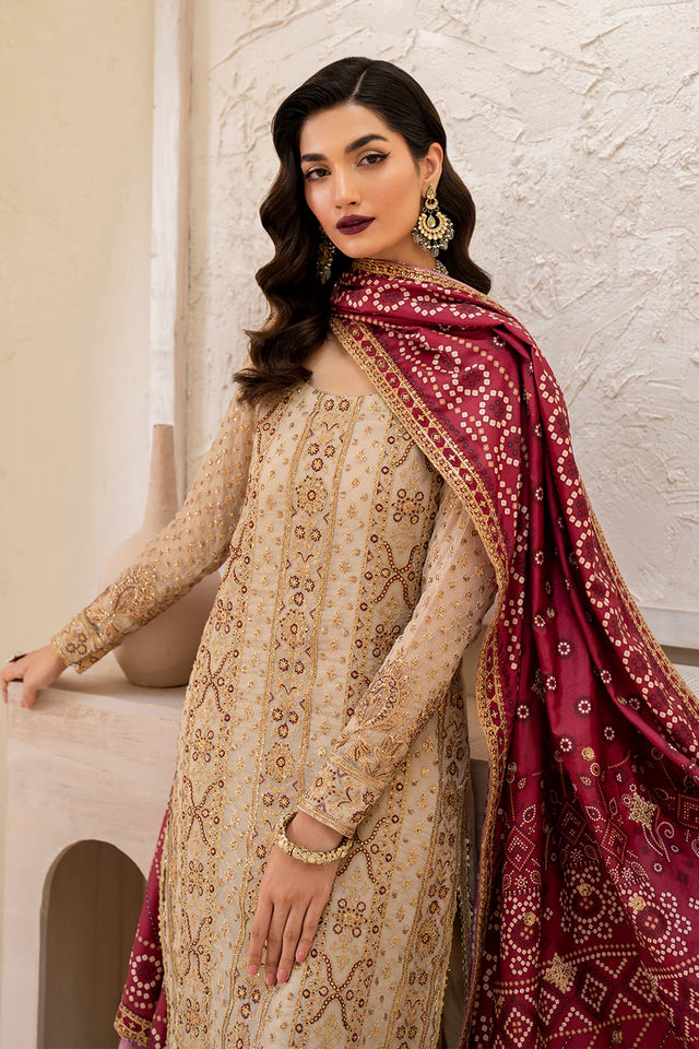 CC-44 Embroidered Chiffon