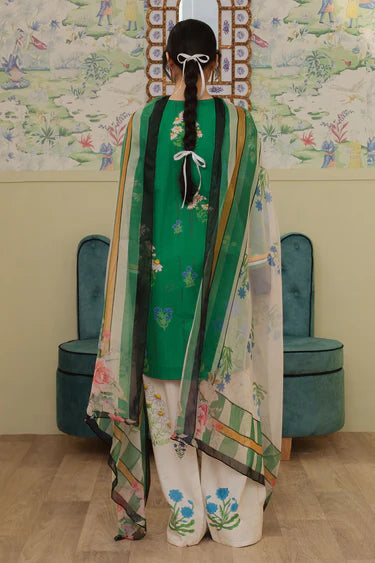 CocobyZaraShahjahan  CHERIMOYA-D10