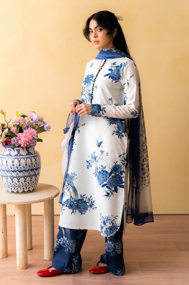 CocobyZaraShahjahan  INDIGO-D3