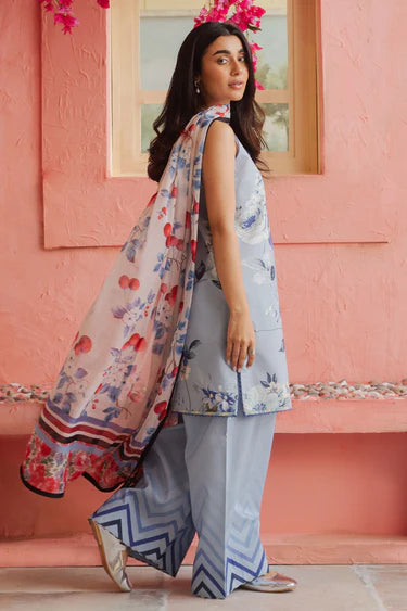 CocobyZaraShahjahan  BLUEBERRY-D4