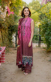 Asifa GKL-13