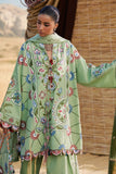 NARMEEN (ZW25-03)