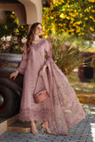 D4 - B - Dusky Rose