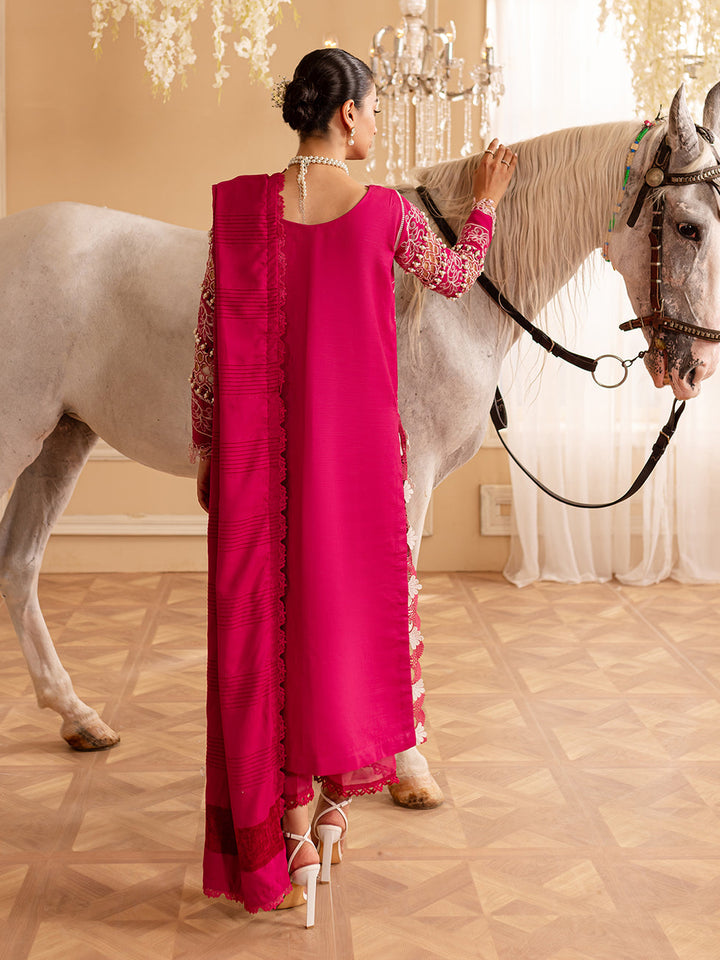 PN-09 | 3 PC Khaddar