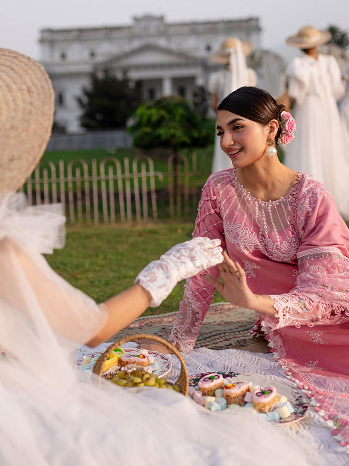 PN-12 | 3 PC Khaddar