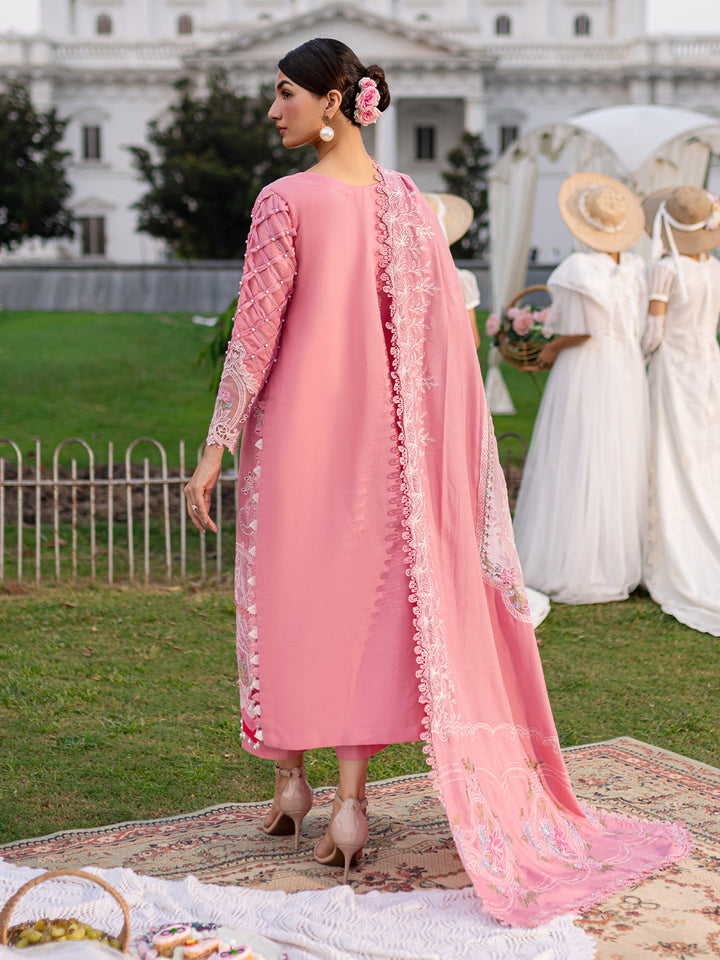 PN-12 | 3 PC Khaddar