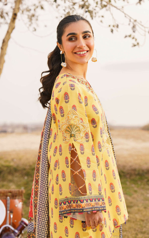 Asifa Nabeel by Meraki Embroidered Lawn Suits Unstitched 3 Piece SONNET-U141M0-04 | Spring Summer Collection