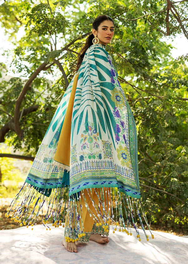 LIANA - B -
Sadaf Fawad Khan